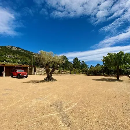 Villa Mas Picholine - D'exception Aux Portes De Saint-tropez Le Plan-de-la-Tour