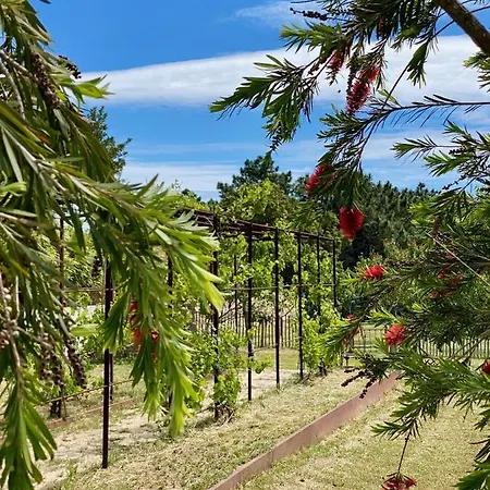 Mas Picholine - D'exception Aux Portes De Saint-tropez Le Plan-de-la-Tour