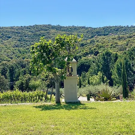 Mas Picholine - D'exception Aux Portes De Saint-tropez Villa